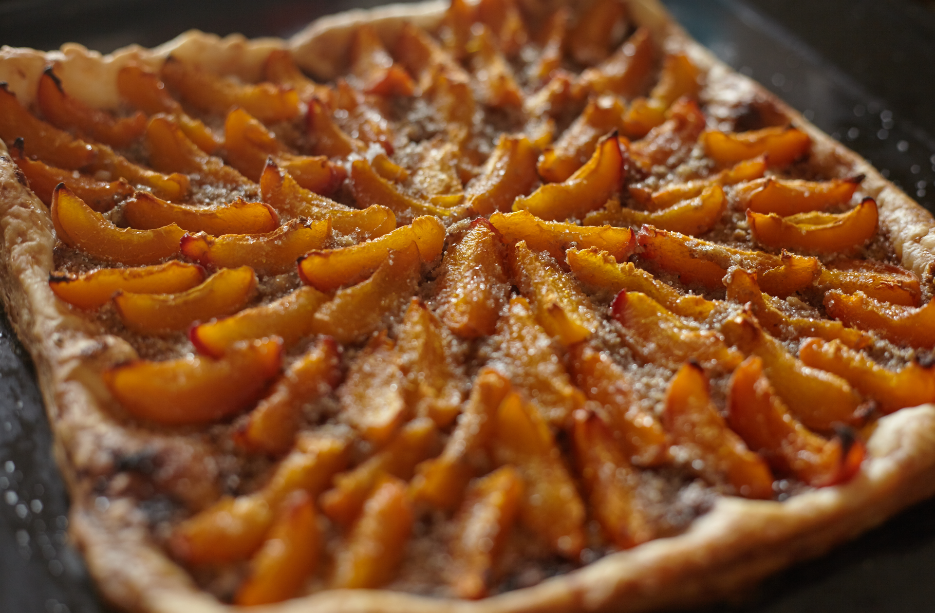 Artisan Swiss Almond Galette with Apricot Filling