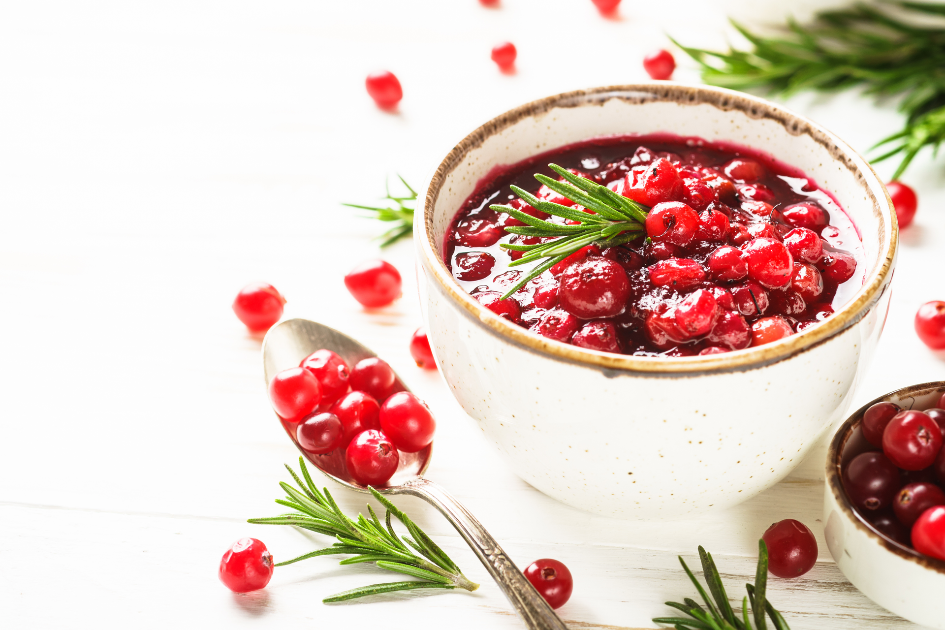 Creamy Norwegian Reinsdyrgryte with Wild Lingonberries