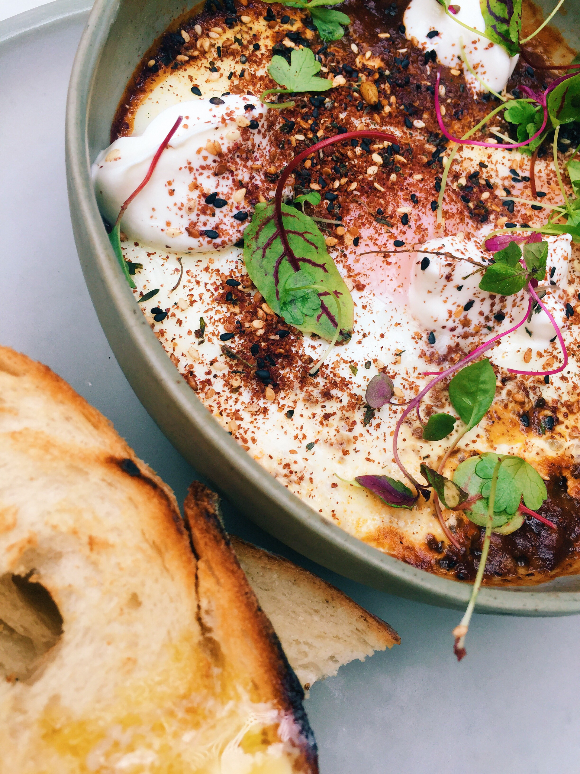 Creamy Tunisian Shakshuka with Harissa and Eggs