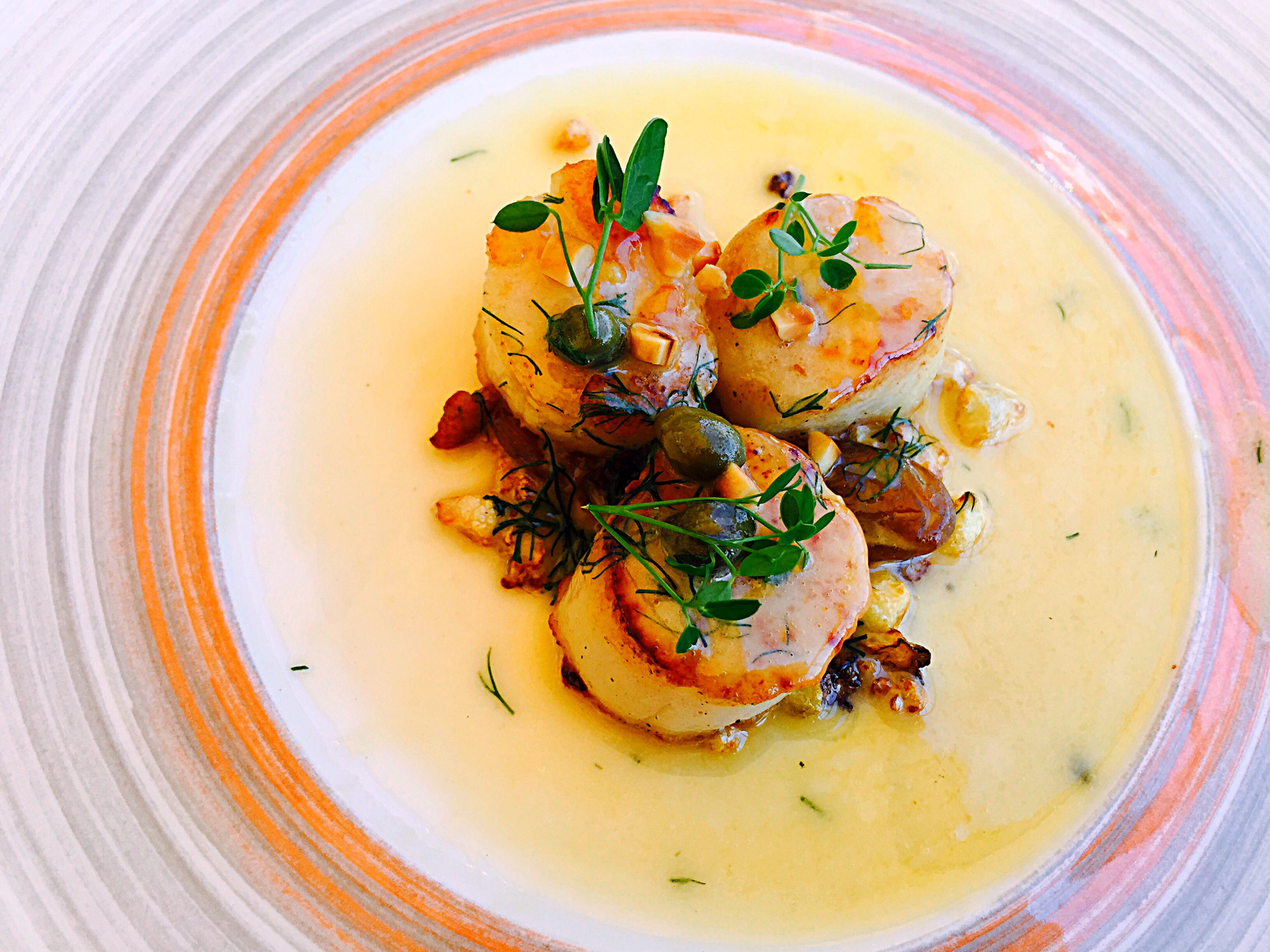 French Coquilles Saint-Jacques with White Wine Cream Sauce