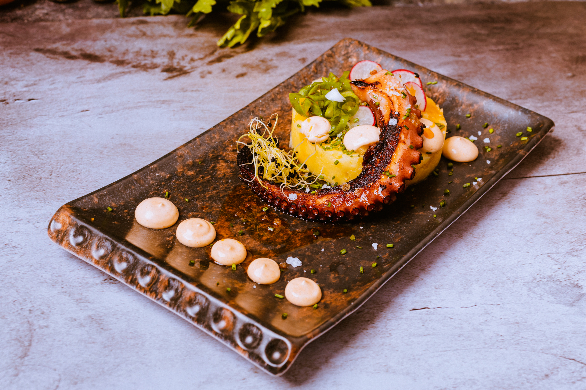 Galician Pulpo a Feira with Sea Salt and Paprika