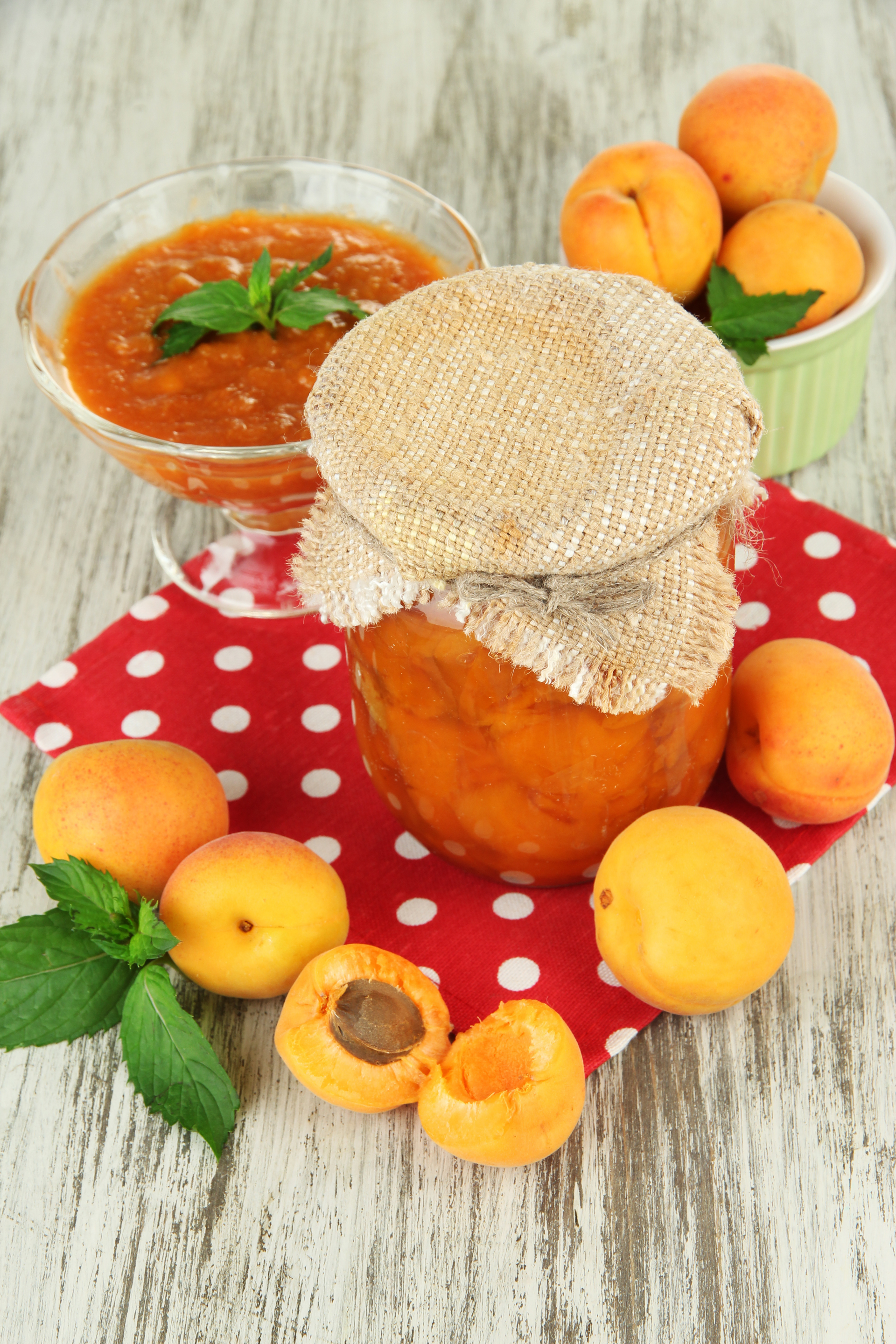 Golden Moroccan Apricot and Fennel Seed Preserve