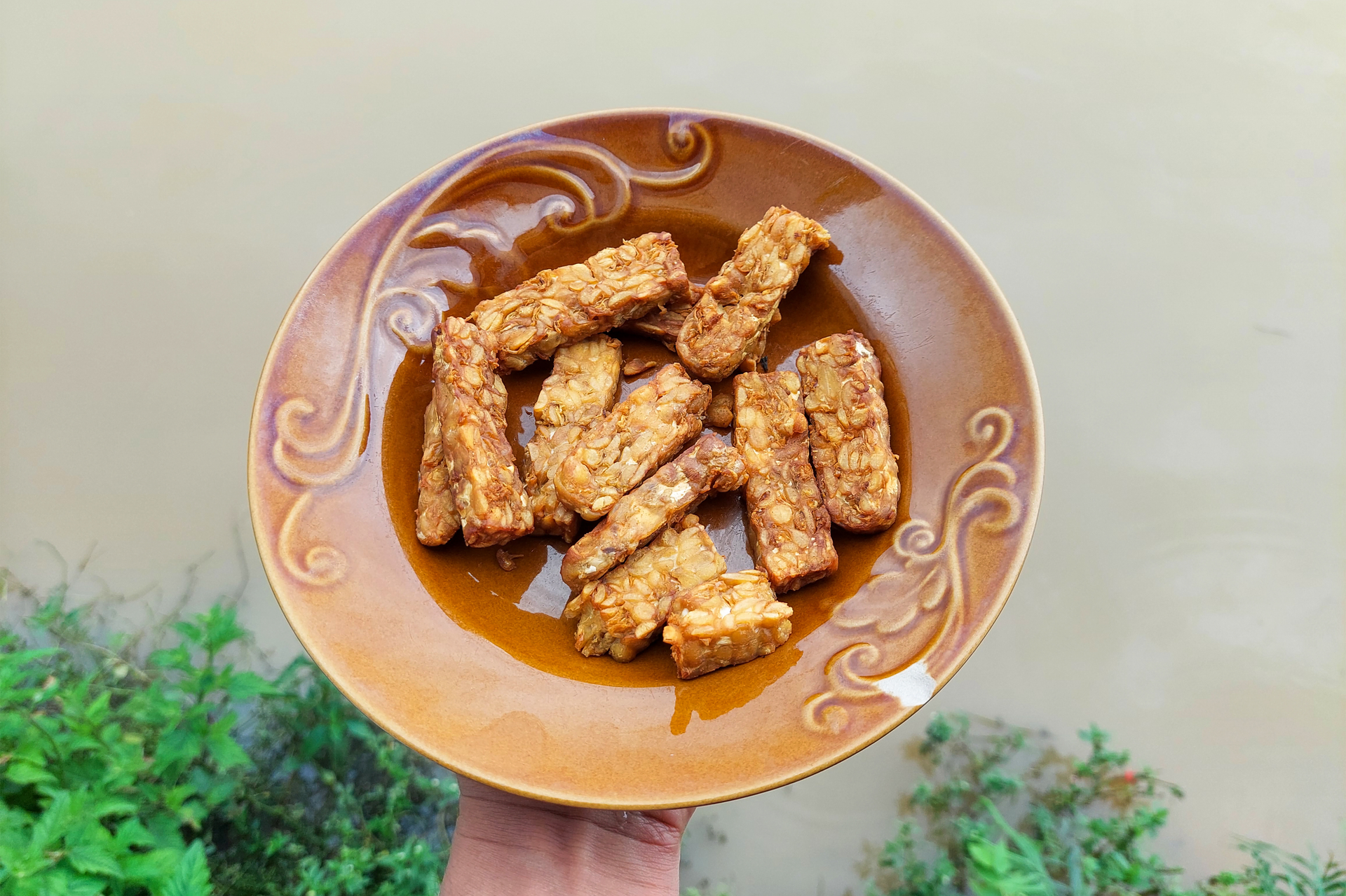 Indonesian Tempeh Manis in Spicy Sweet Soy Sauce