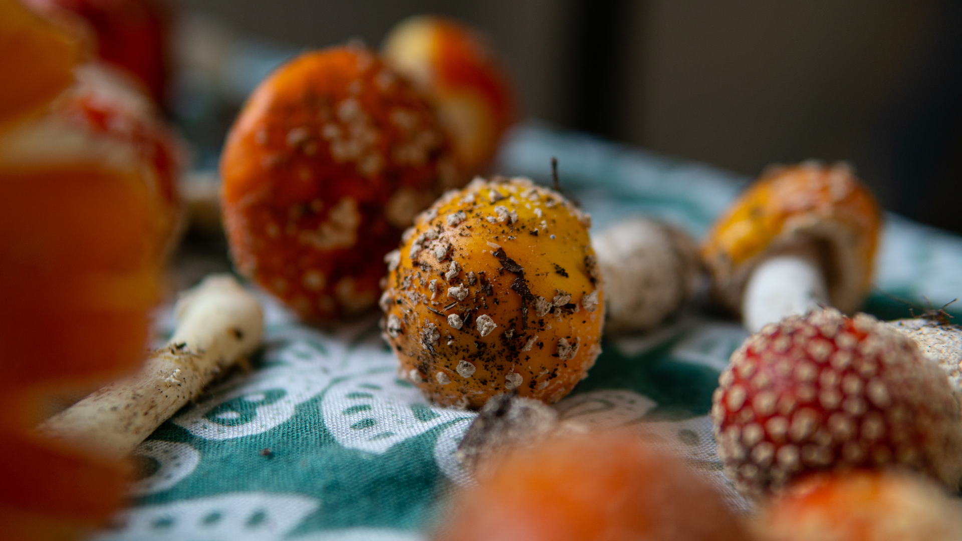 Moroccan Orange Blossom Truffles with Almond and Cinnamon