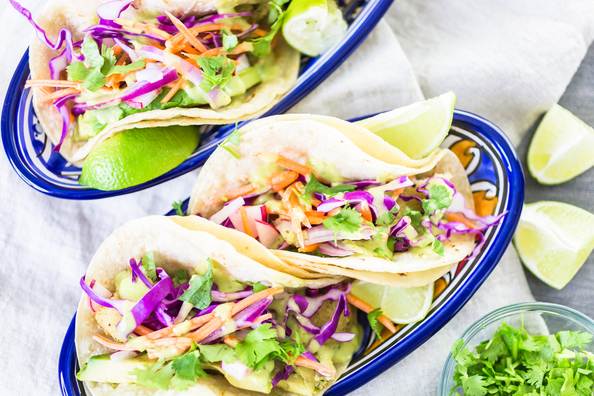 Panamanian Ropa Vieja Tacos with Fresh Cilantro Slaw