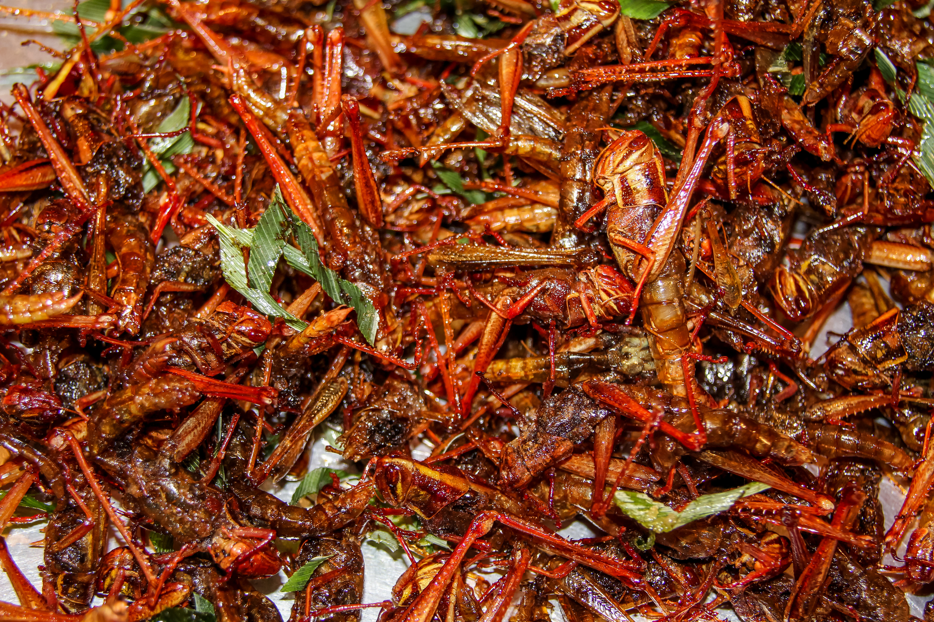 Piquant Cameroonian Ndole with Crayfish and Bitterleaf
