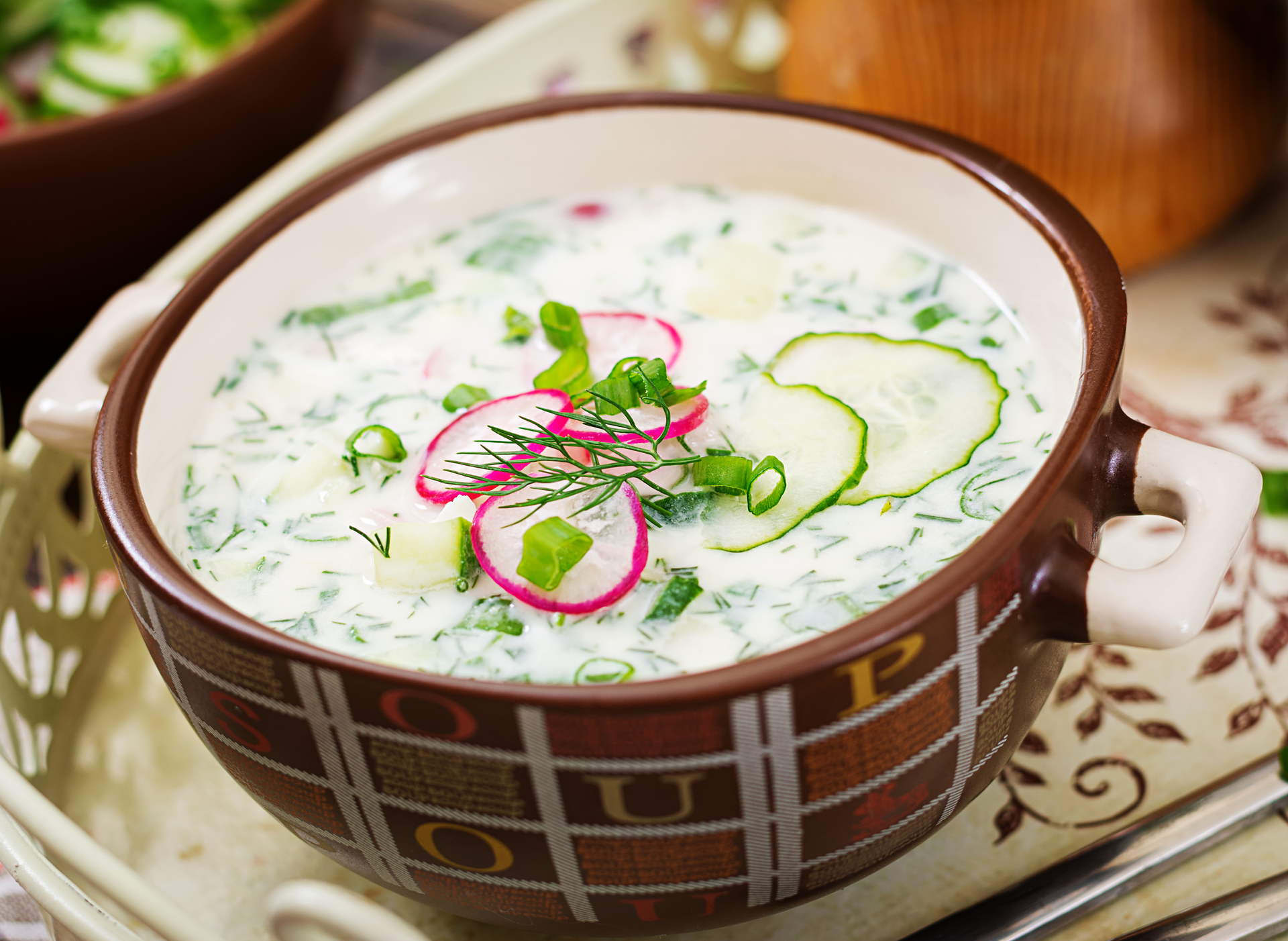 Silken Turkish Yogurt Soup with Mint and Garlic
