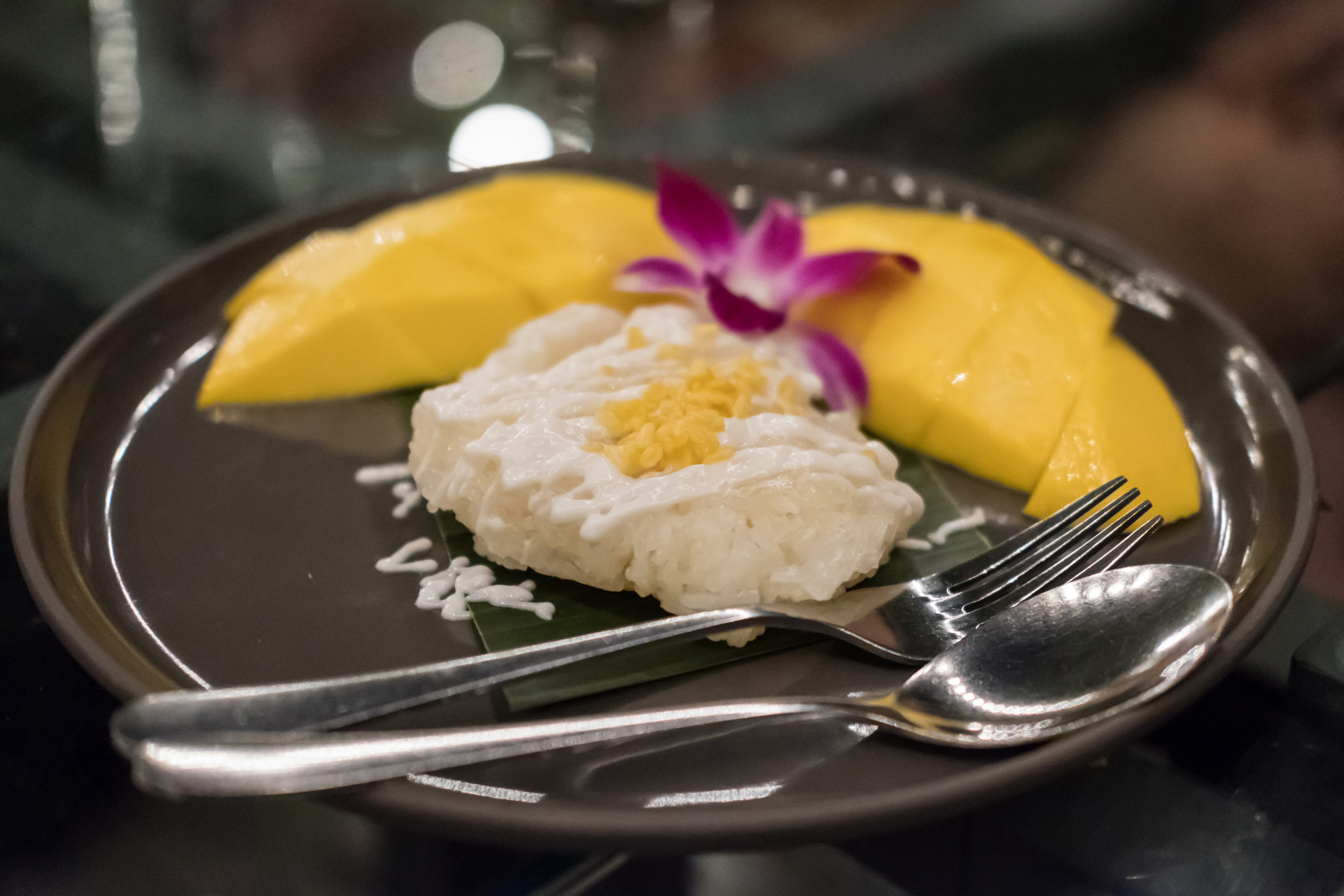 Silky Thai Coconut Mango Tapioca Pudding with Toasted Coconut