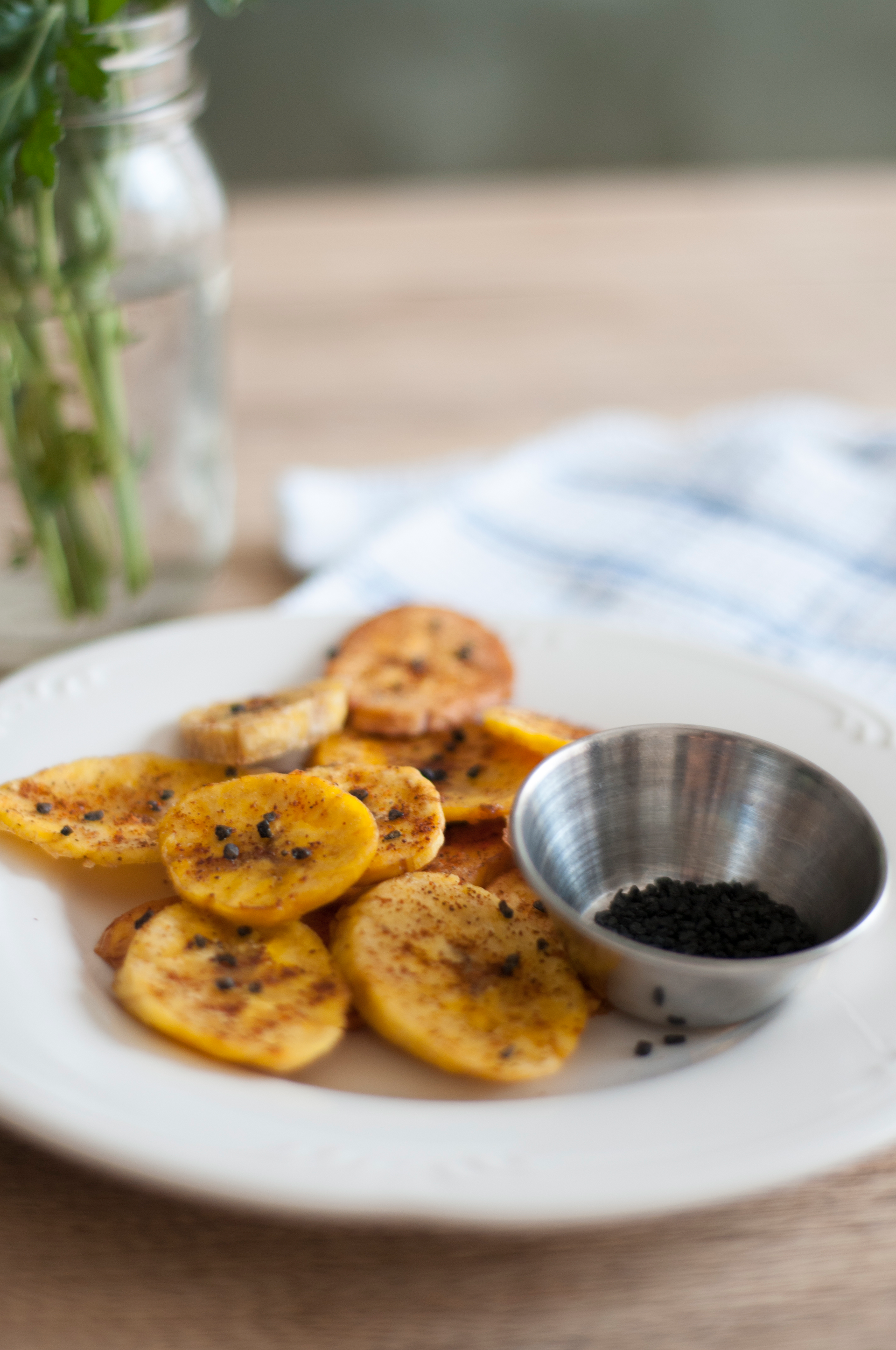 Smoky Caribbean Black Bean and Plantain Tostones with Garlic Aioli