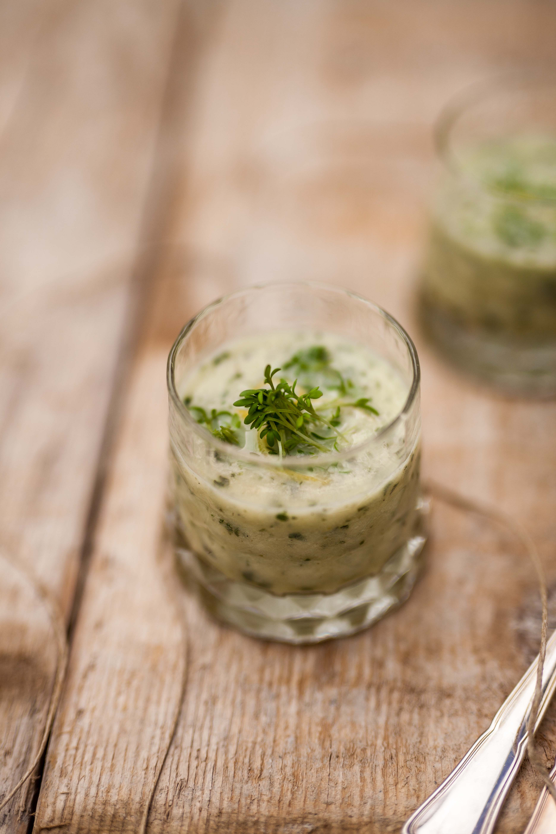 Spanish Gazpacho with Cilantro and Jalapeño
