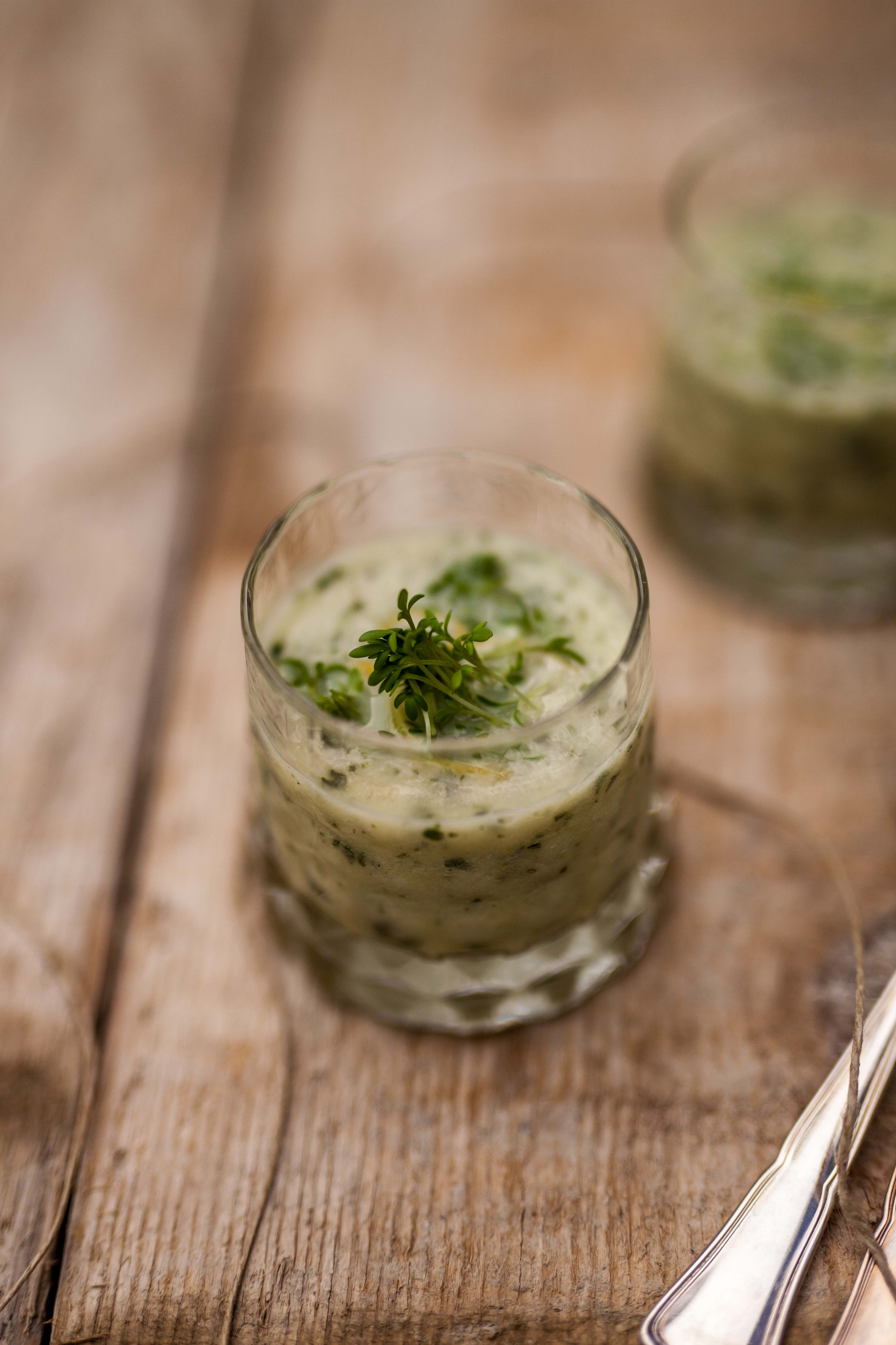 Spanish Gazpacho with Cilantro and Jalapeño