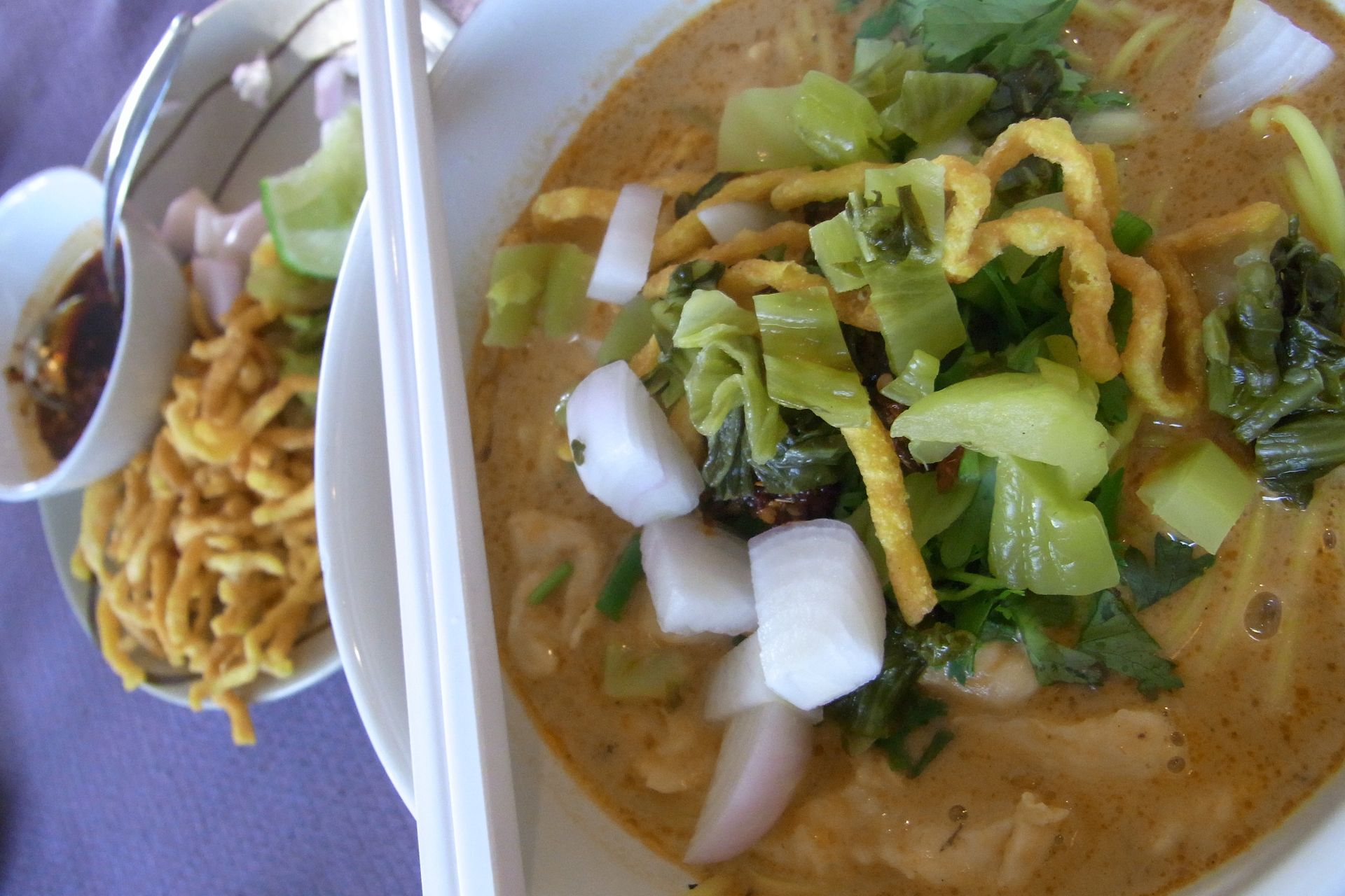 Spiced Indonesian Lodeh with Tempeh and Long Beans