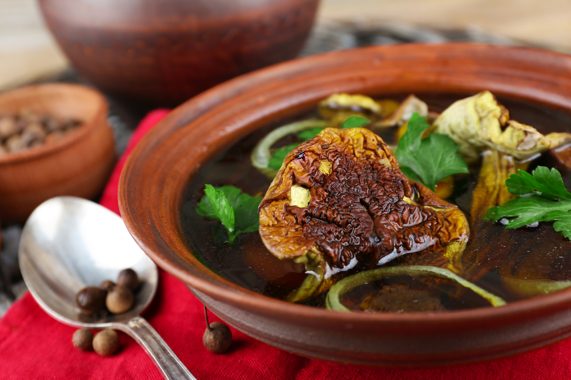 Spicy Guatemalan Pepian de Res with Pumpkin Seeds