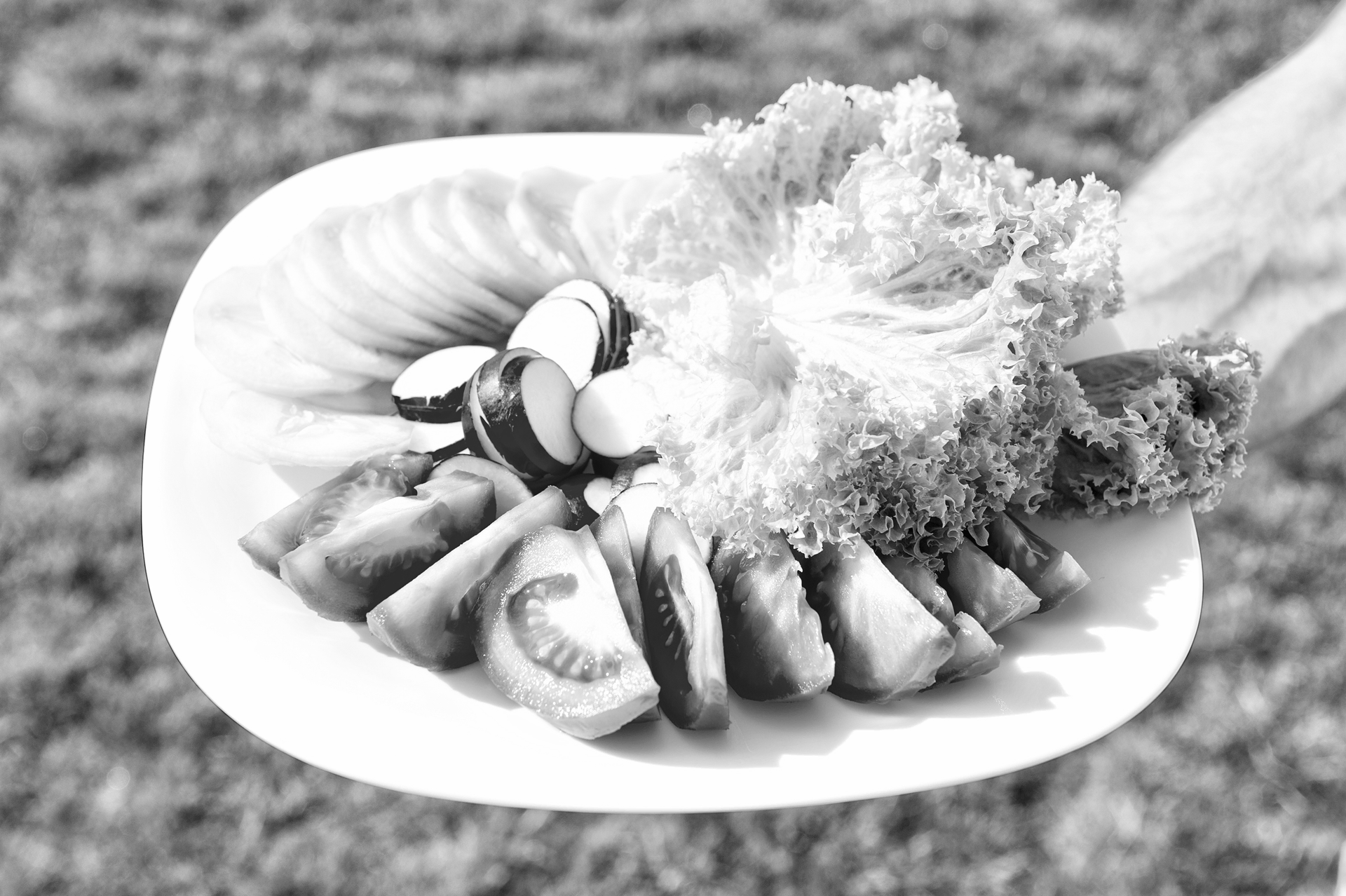 Succulent Estonian Silgusoust