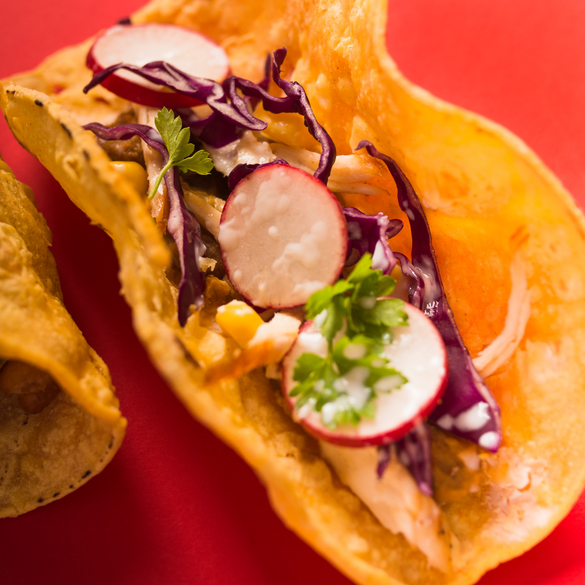 Vibrant Chilean Chacarero