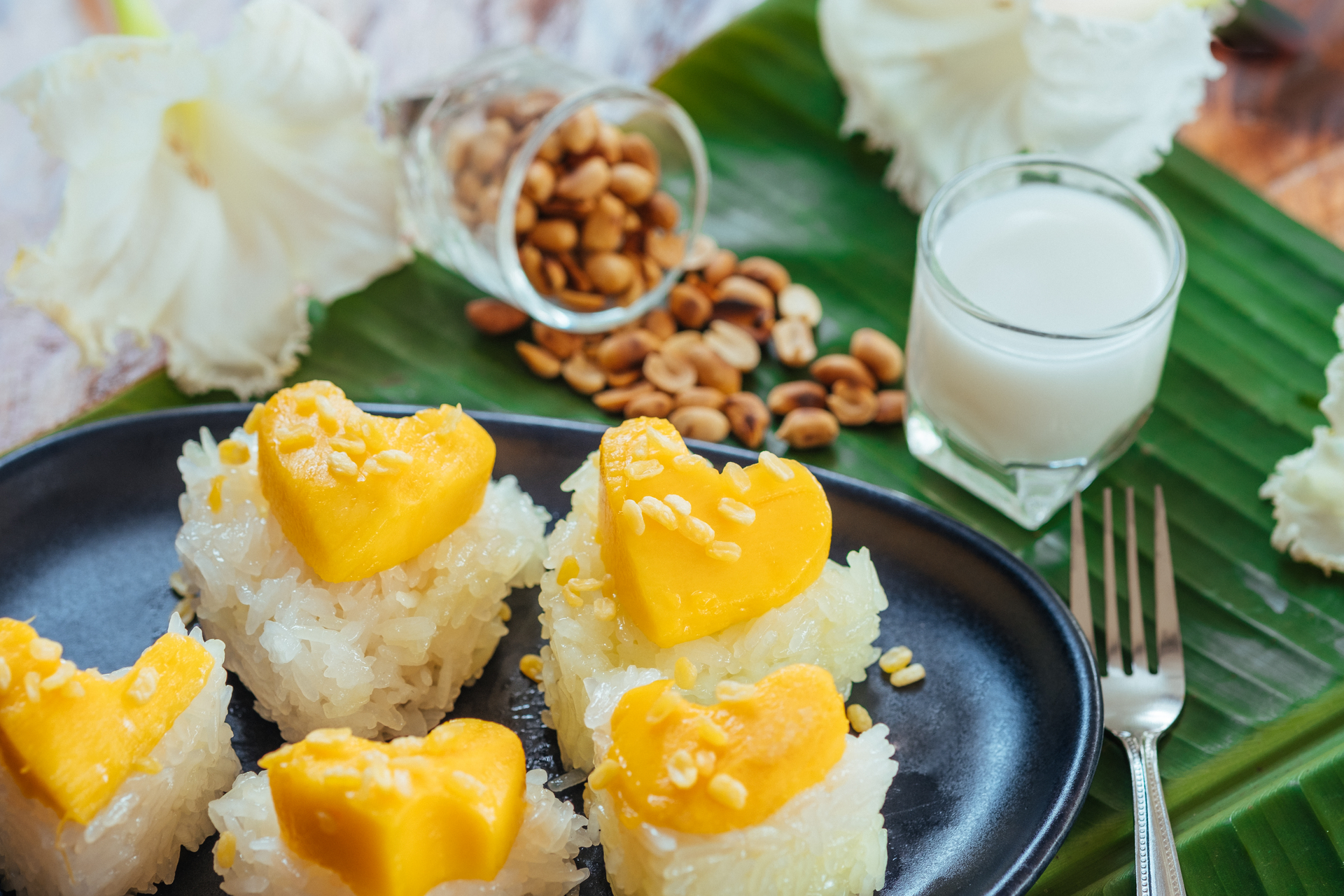 Vietnamese Peanut Coconut Pudding with Mango Sauce
