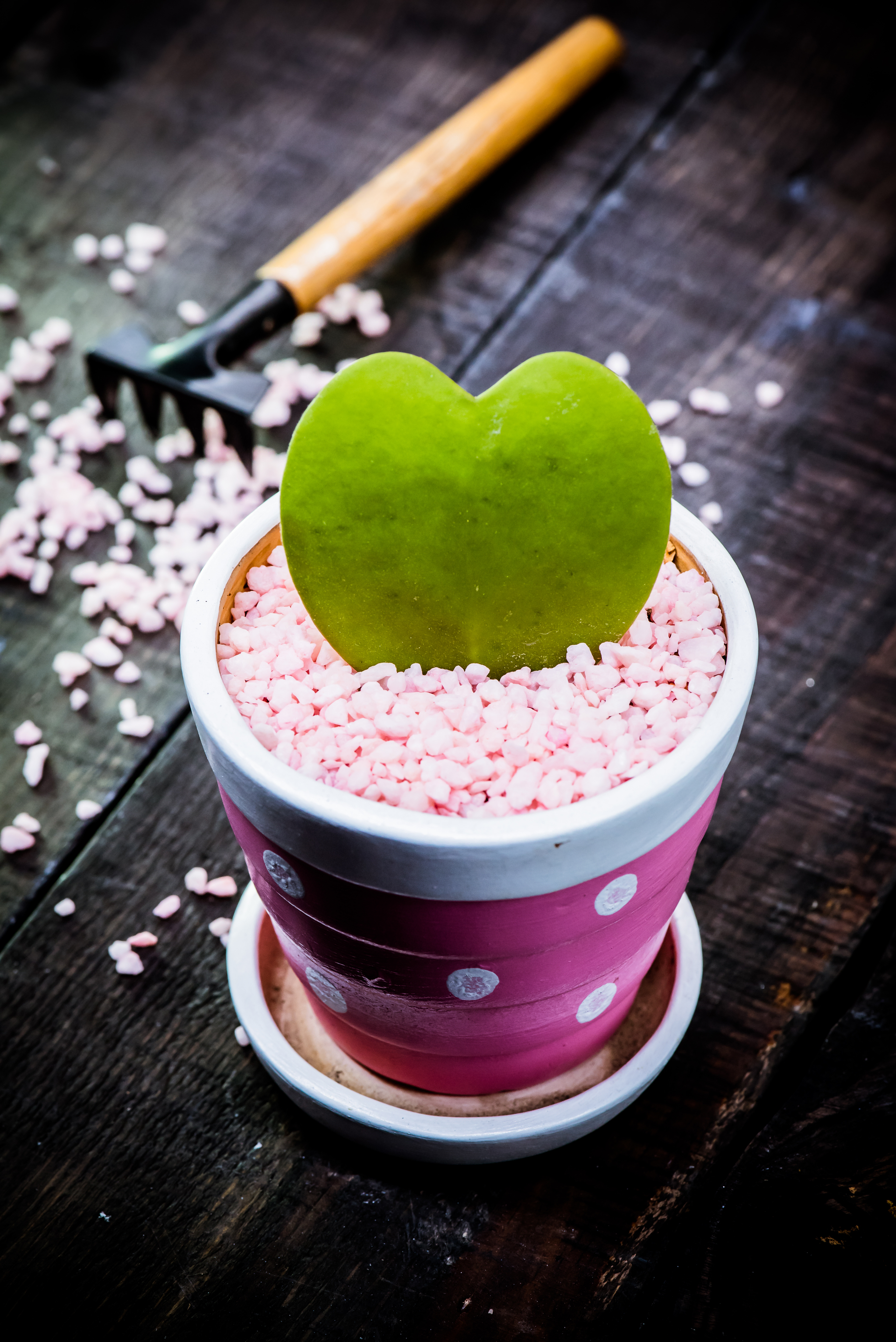 Zesty Japanese Matcha Latte with Sweet Azuki Beans